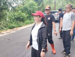 Wakil Bupati Vasung Pantau Langsung Penebangan dan Pembersihan Pohon di Jalan Tondano-Remboken