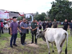 Pemkab Minahasa Serahkan 19 Ekor Hewan Qurban Jelang Idul Adha 2025
