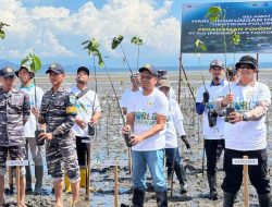 PLN UP3 Tolitoli Kolaborasi Tanam 5.000 Pohon Mangrove untuk Lindungi Pesisir dari Abrasi