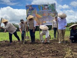 Wujudkan Program Ketahanan Pangan Asta Cita Presiden Prabowo, Tani Merdeka Minahasa Gencar Tanam Jagung